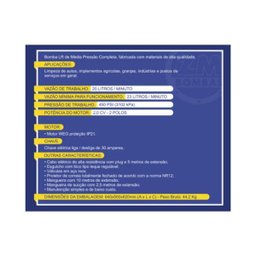Lavadora de Alta Pressão LR-20 450 Psi 2,0 cv Mono 20L/min Motor WEG 110V ZM Bombas - 2