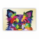 Ver imagem 1 de Quadro Canvas Cachorro Chihuahua Animais Decorativo 50x40cm