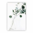 Ver imagem 1 de Quadro Canvas Fotografia de Planta Minimalista 30x40cm