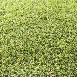 Grama Sintética Artificial 20mm com Proteção Uv e Anti-fungo 2,00 X 1,00m (2m²) - 4