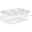 Ver imagem 4 de Organizador de Geladeira com Tampa 660ml Cozinha Multiuso Frutas Pequeno Transparente Uz