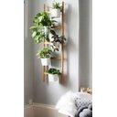 Ver imagem 1 de Treliça Bastão para Jardim Vertical, Vasos e Plantas - Madeira Pinus - 100 X 45 Cm
