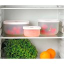 Ver imagem 2 de Recipiente Fundo a Vácuo com Válvula Freezer Geladeira L 19,7 X 19,7 X H12,7 Cm - 2800ml - Saveit