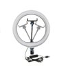 Ring Light 30cm 12 Polegadas sem Tripé Iluminador Youtuber - 2