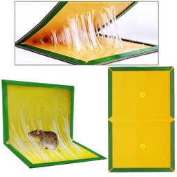 Kit 3 Ratoeira Armadilha Adesiva Super Cola Pega Rato Inseto - 4