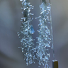 Pisca Cascata Fio Transparente 10m 400 Leds Branco Frio Estático - 2