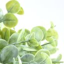 Ver imagem 3 de Arranjo de Eucaliptos Artificiais em Vaso Preto Fosco