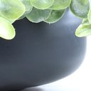 Ver imagem 4 de Arranjo de Eucaliptos Artificiais em Vaso Preto Fosco