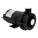Ver imagem 2 de Bomba para Hidromassagem Dancor CHS-17 1,5 cv Monofásica 110/220 v