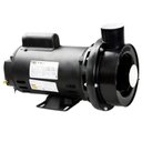 Ver imagem 1 de Bomba para Hidromassagem Dancor CHS-17 1,5 cv Monofásica 110/220 v
