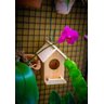 Casinha Pássaro Ninho Comedoro em Madeira Crua - 3