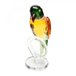 Papagaio de Cristal 20cm Rojemac - 2
