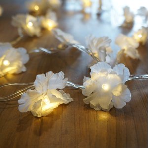 Fio de Luz Luz de Fada Flores de Cerejeira Brancas 50 Leds Bivolt