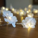 Ver imagem 2 de Fio de Luz Luz de Fada Flores de Cerejeira Brancas 50 Leds Bivolt