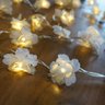 Fio de Luz Luz de Fada Flores de Cerejeira Brancas 50 Leds Bivolt - 3