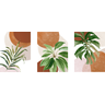Tríptico - Quadros Decorativos Floral Costela de Adão Grande:Preto - 4