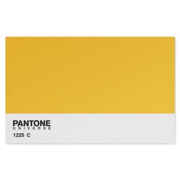 Jogo Americano (Kit 4 Unidades) Nerderia e Lojaria pantone amarelo colorido - 1