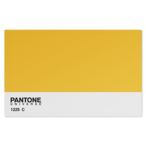 Jogo Americano (Kit 4 Unidades) Nerderia e Lojaria pantone amarelo colorido