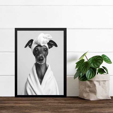 Quadro para Banheiro Cachorrinha de Roupão 24x18cm:moldura Preta