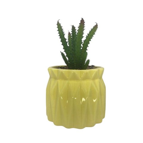 Vaso Com Suculenta Em Dolomita E Plástico Cor Amarelo 28663