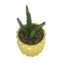 Ver imagem 2 de Vaso Com Suculenta Em Dolomita E Plástico Cor Amarelo 28663