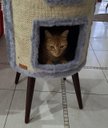 Ver imagem 2 de Arranhador Tambor Pé Palito