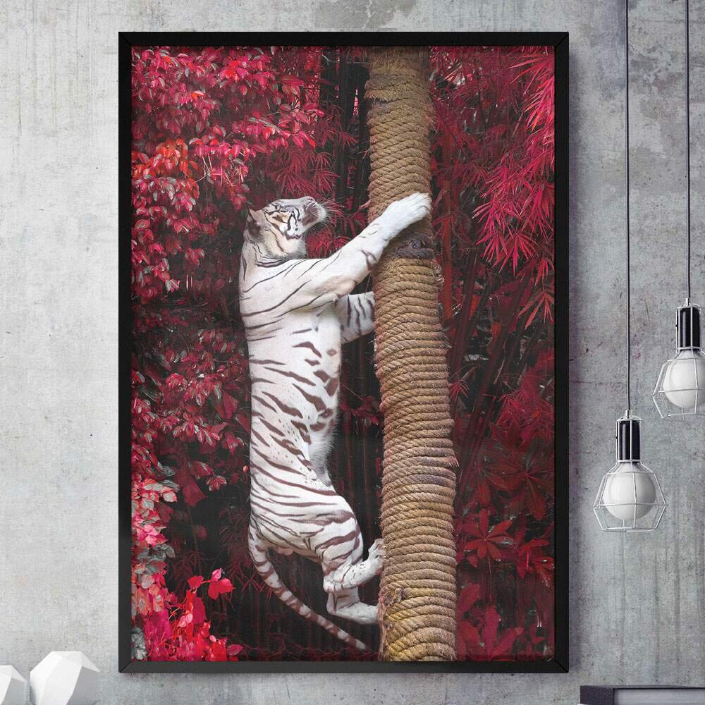 Quadro Decorativo Tigre Preto e Branco Olhos Azuis