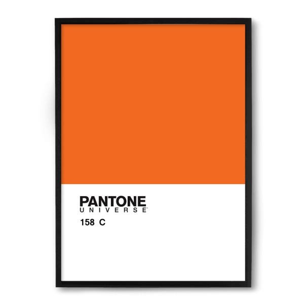 Quadro Decorativo 23x33cm Nerderia e Lojaria pantone laranja preto