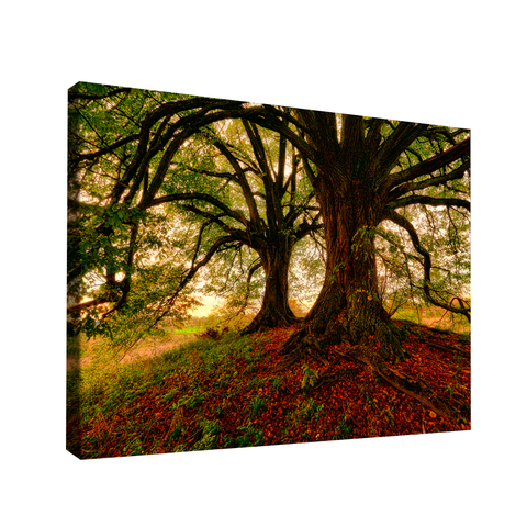 QUADRO DECORATIVO ÁRVORE MEU ESCONDERIJO Grande 118x78
