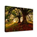 Ver imagem 1 de QUADRO DECORATIVO ÁRVORE MEU ESCONDERIJO Grande 118x78