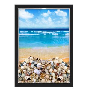 QUADRO CAIXA 33X43 PORTA CONCHAS NERDERIA E LOJARIA conchas praia preto