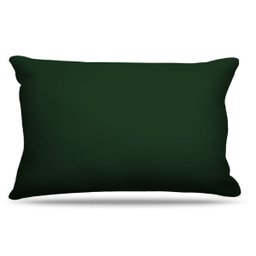 Fronha Para Travesseiros Nerderia e Lojaria verde escuro colorido - 1