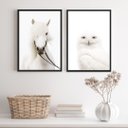 Ver imagem 1 de Kit 2 Quadros Fotografias Animais Brancos 33x24cm - com Vidro:madeira Preta