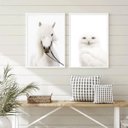 Ver imagem 2 de Kit 2 Quadros Fotografias Animais Brancos 33x24cm - com Vidro:madeira Preta