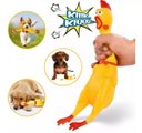 Ver imagem 7 de Frango Galinha Brinquedo com Som Grande Pet Borracha Mordedor c/ Apito Sonoro 27cm - Cachorro Medio