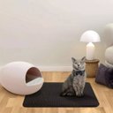 Ver imagem 4 de Tapete Coletor Areia Higienico Gato Pet Animais Anti Sujeira Chao Casa Limpo Petshop Ab.midia Su-are