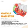 Gaiola Hamster Roedores Tubinho Epoxi Tela Aramada Bragança:Vermelho - 2