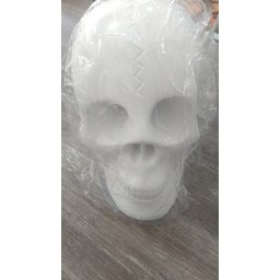 Imagem Cranio Bco Escultura Gesso Estatua Maravilhosa 20 Cm - 1