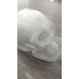 Imagem Cranio Bco Escultura Gesso Estatua Maravilhosa 20 Cm - 2
