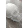 Imagem Cranio Bco Escultura Gesso Estatua Maravilhosa 20 Cm - 2