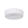 LUMINÁRIA PLAFON VENUS 37CM 3 LAMP E27 BRANCO  - 1110 BR - 1