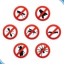 Ver imagem 3 de Repelente Tomada - Rato, Barata, Formiga, Aranha
