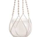 Ver imagem 3 de Cachepot Pendente em Vidro 80 x 20cm D'Rossi