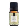 Kit Green Via Aroma Aromatizador com 4 Essencias 10ml - 4
