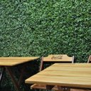 Ver imagem 5 de 11 Placas Folhagens Parede Jardim Vertical Artificial 3d Preço de Atacado