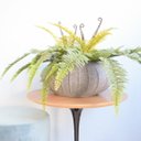 Ver imagem 4 de Arranjo Artificial de Samambaia Luxo no Vaso Hanazaki Cinza |Linha permanente Formosinha