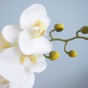 Ver imagem 4 de Arranjo de Orquídea Artificial Branca No Vaso Dourado Médio | Linha Permanente Formosinha