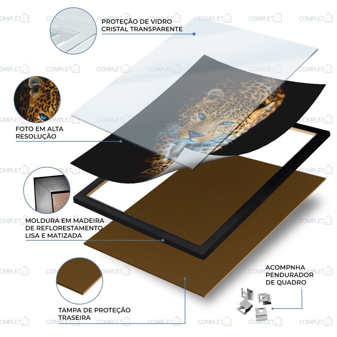 Quadro Onça Imponente Moldura e Vidro - 4