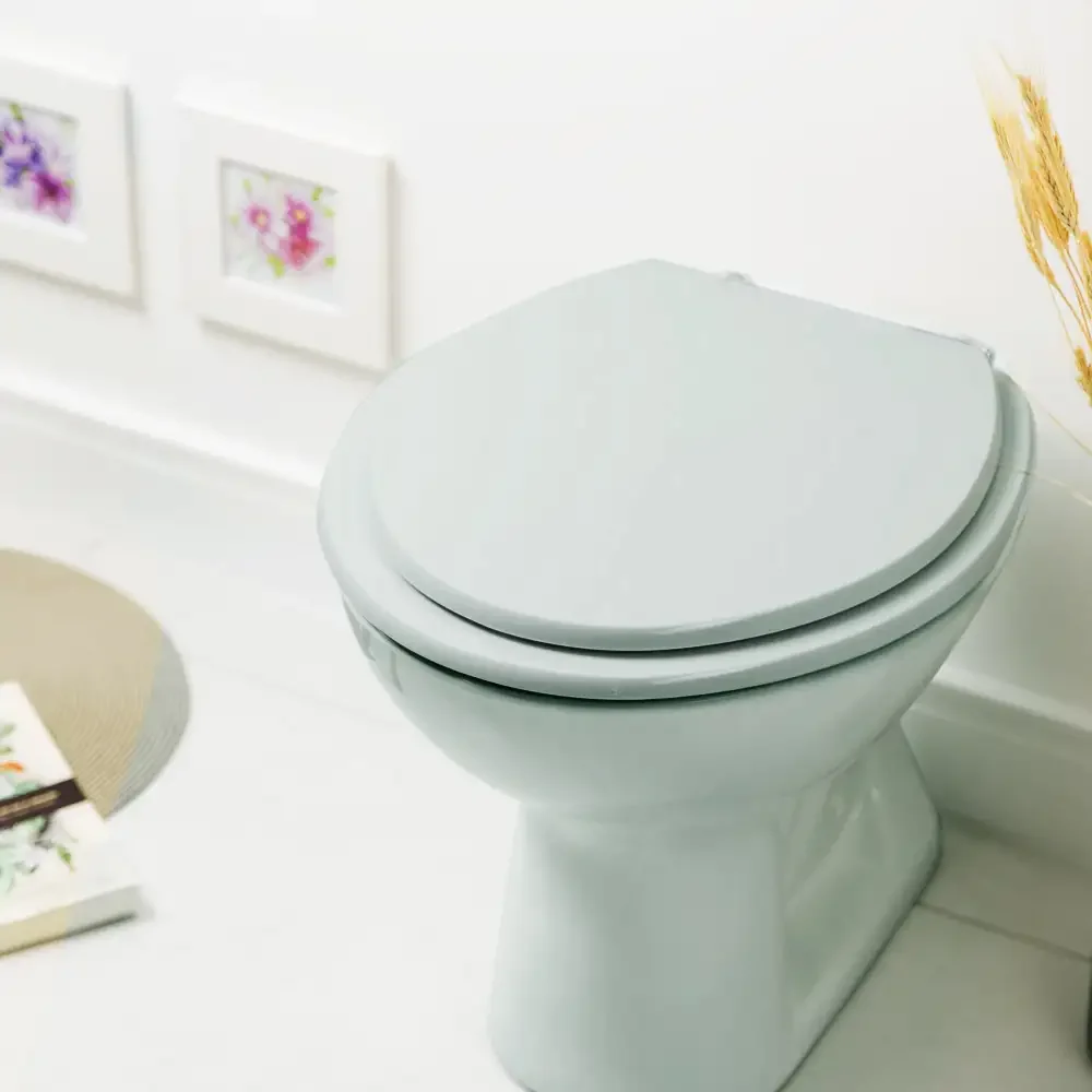 Assento Sanitário Flamingo Verde Água Para Louça Incepa Laufen - 6