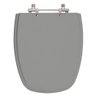 Assento Sanitário Monte Carlo Cinza VIP Para Louça Deca - 1